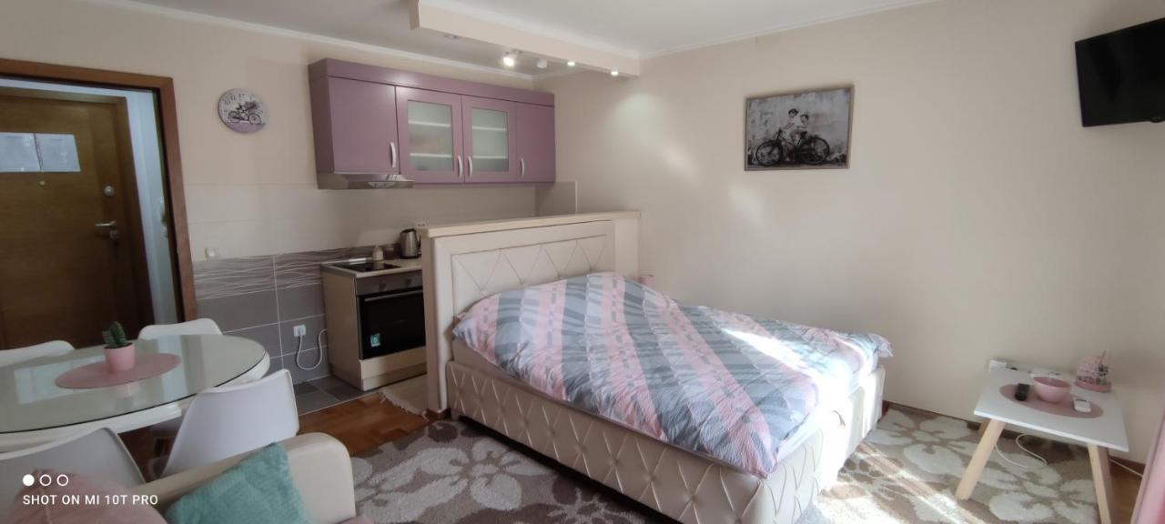 Alex 2 Apartman Vrnjacka Banja Ngoại thất bức ảnh