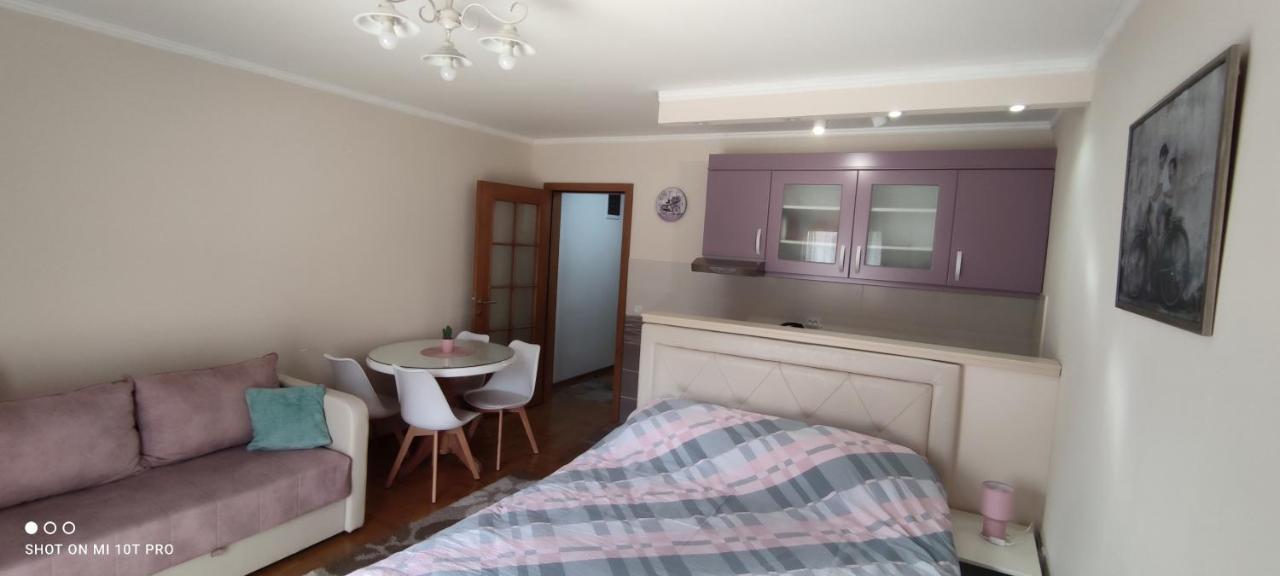 Alex 2 Apartman Vrnjacka Banja Ngoại thất bức ảnh