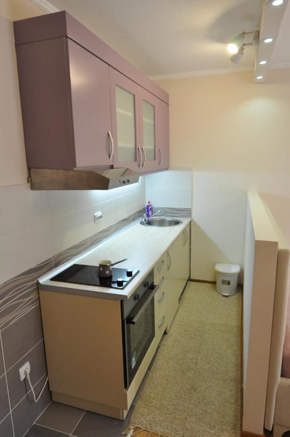Alex 2 Apartman Vrnjacka Banja Phòng bức ảnh